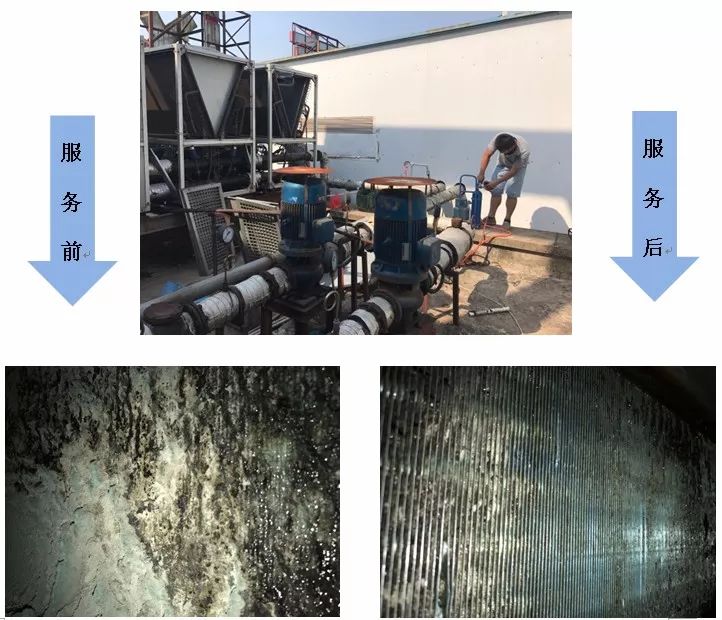 中国尊龙集团官方网站